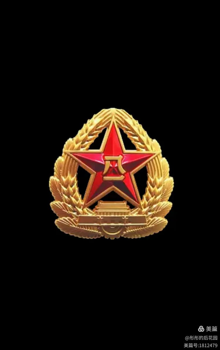 战友情深 军魂永驻